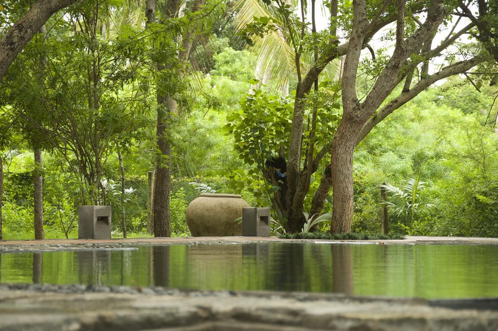 Lagoon House Rekawa Tangalle Εξωτερικό φωτογραφία