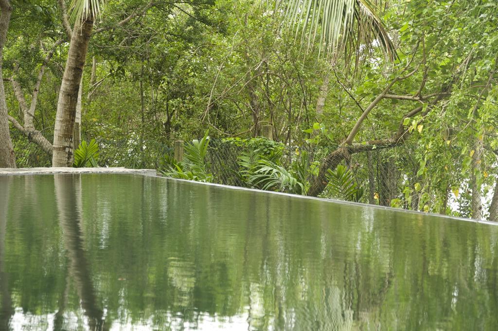Lagoon House Rekawa Tangalle Εξωτερικό φωτογραφία