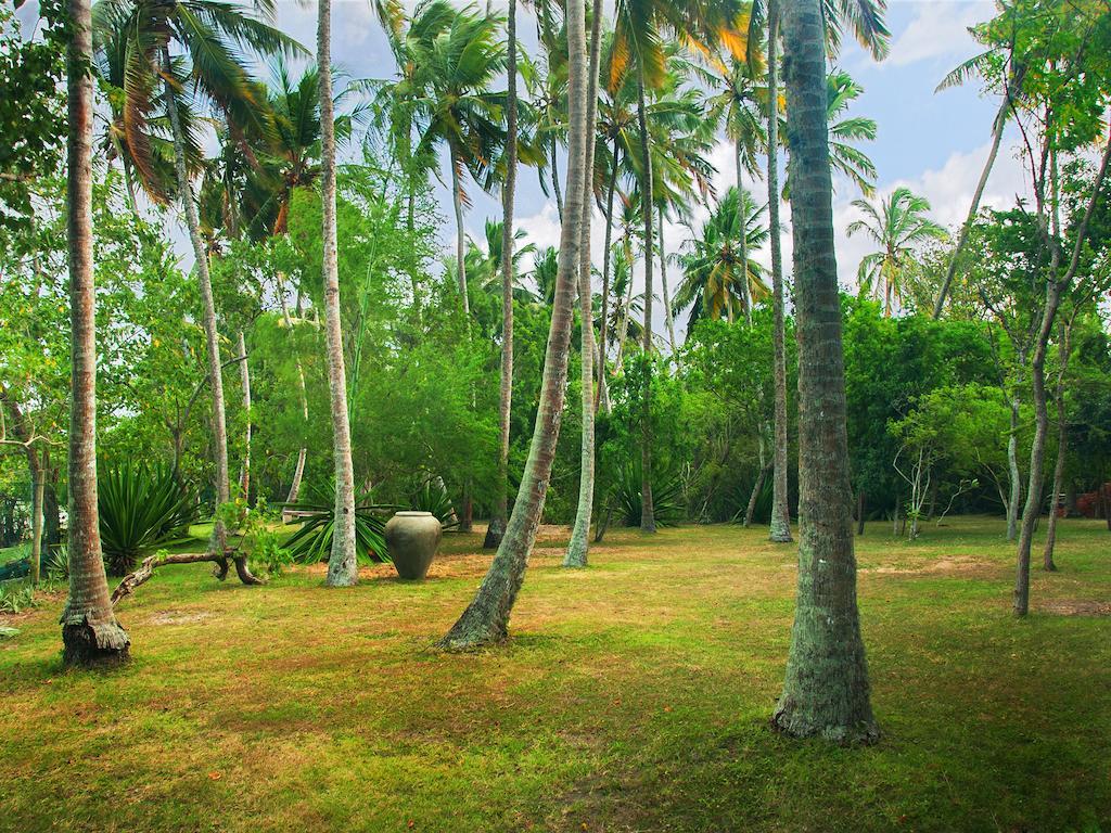 Lagoon House Rekawa Tangalle Εξωτερικό φωτογραφία